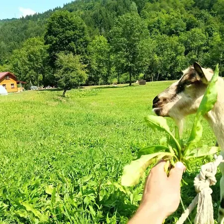 Vikend Kuca Magicna Livada Pale